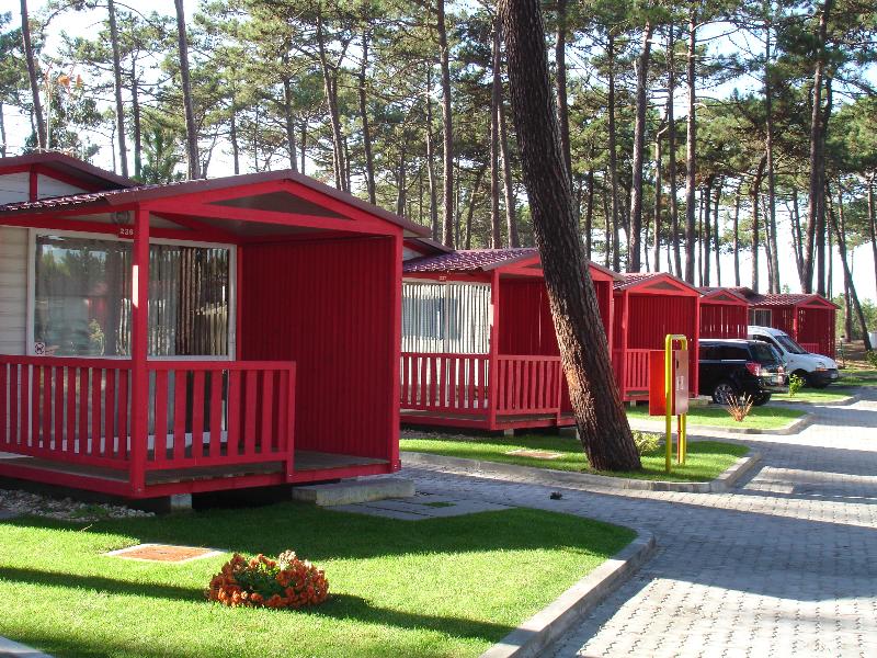 Orbitur Sao Pedro de Moel - Oda