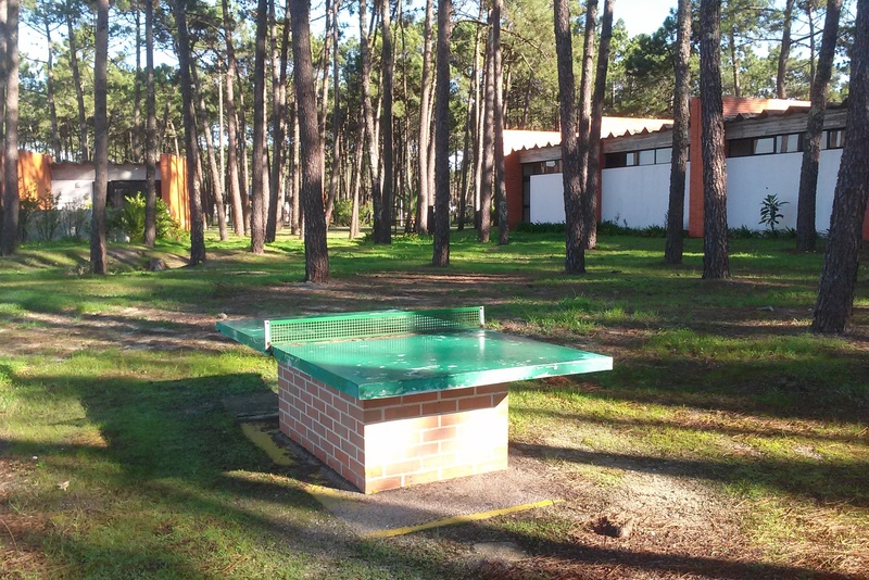 Orbitur Vagueira - Aktivite