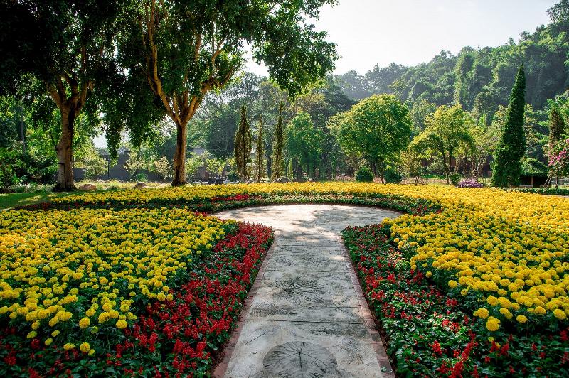 Flora Creek Chiang Mai - Genel