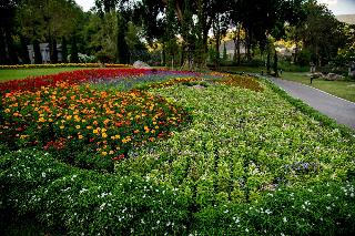 Flora Creek Chiang Mai fotoÄŸrafÄ±