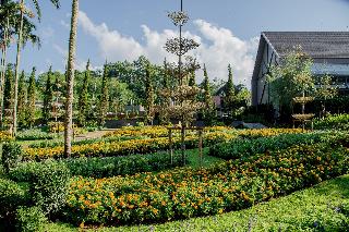 Flora Creek Chiang Mai fotoÄŸrafÄ±