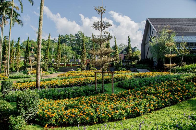 Flora Creek Chiang Mai - Genel