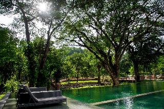 Flora Creek Chiang Mai fotoÄŸrafÄ±