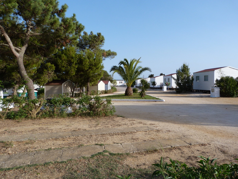 Orbitur Sagres - Genel