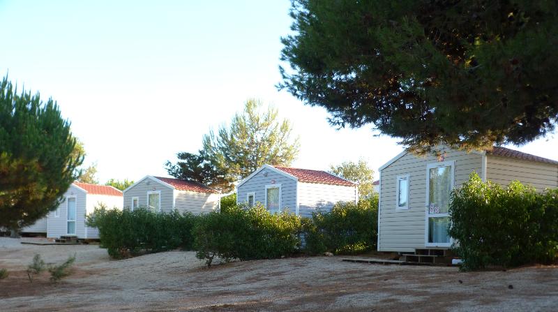 Orbitur Sagres - Oda