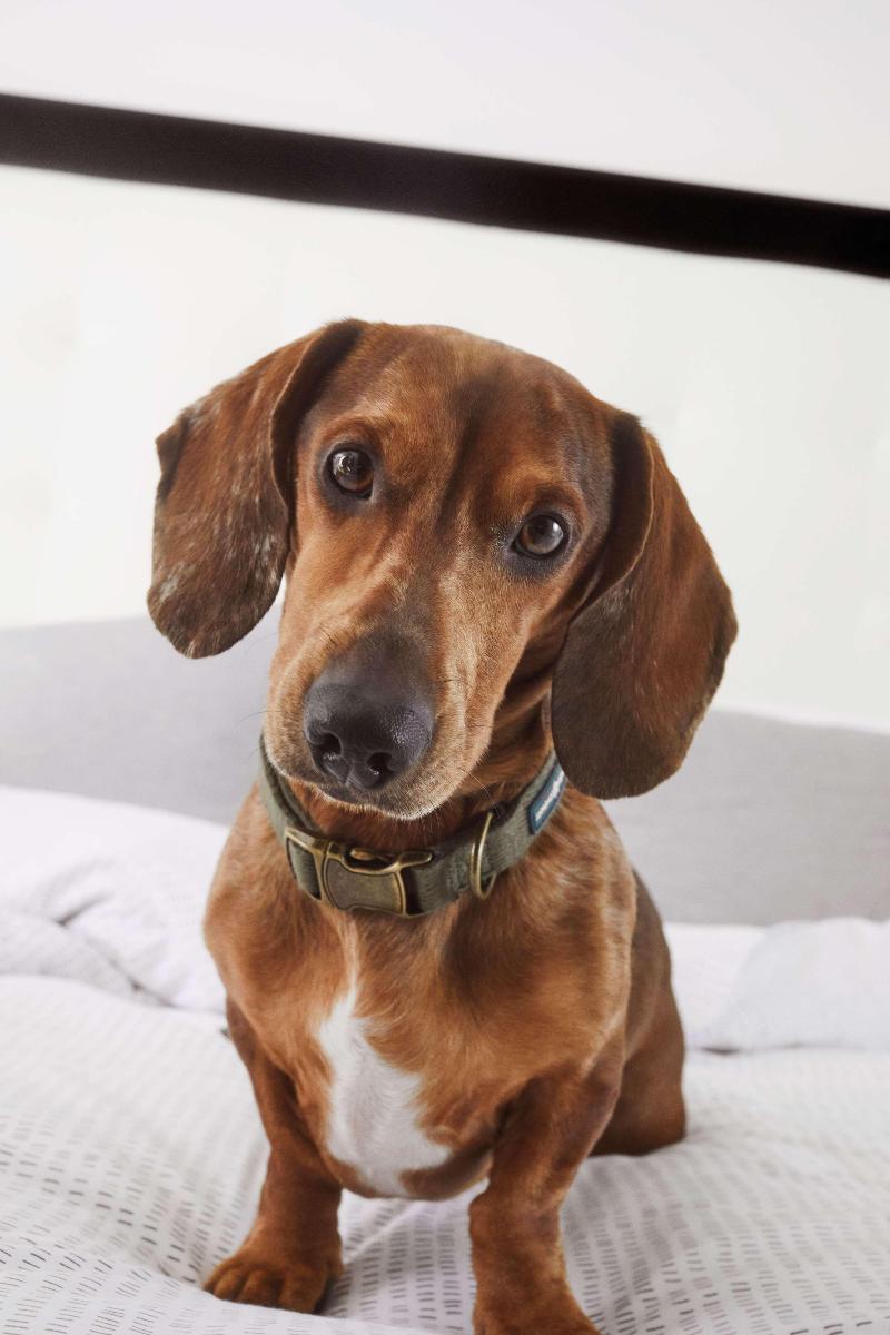 INNSIDE by Meliá Leipzig - Genel