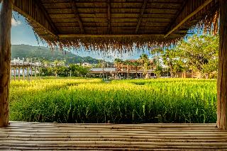 Naina Resort & Spa fotoÄŸrafÄ±