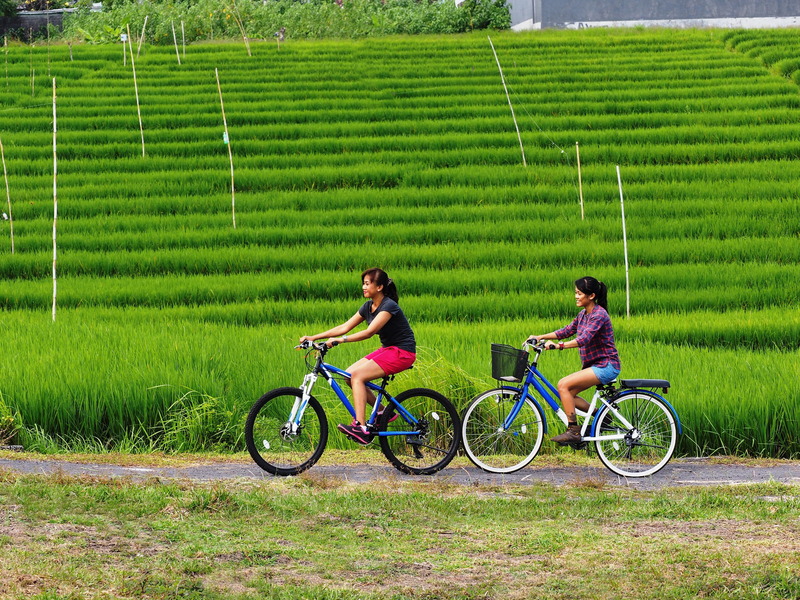 The Santai Umalas by LifestyleRetreats - Genel