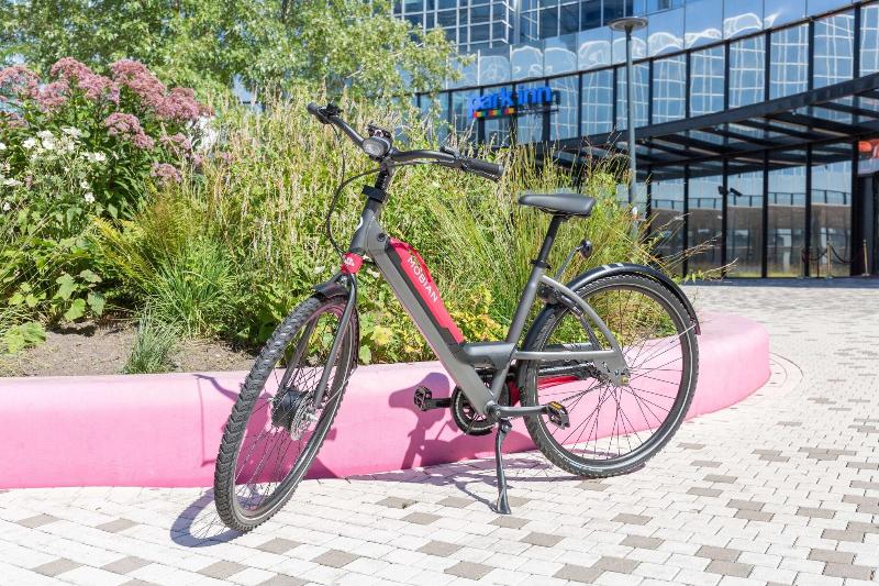 Park Inn By Radisson Amsterdam City West - Aktivite