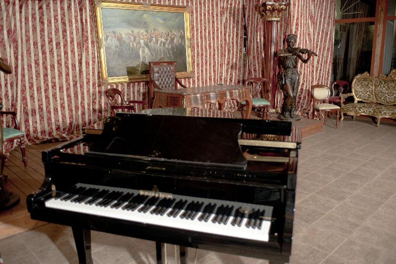Hotel Chopin - Lobi
