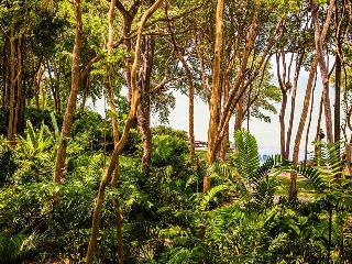 The Monttra Pattaya fotoÄŸrafÄ±