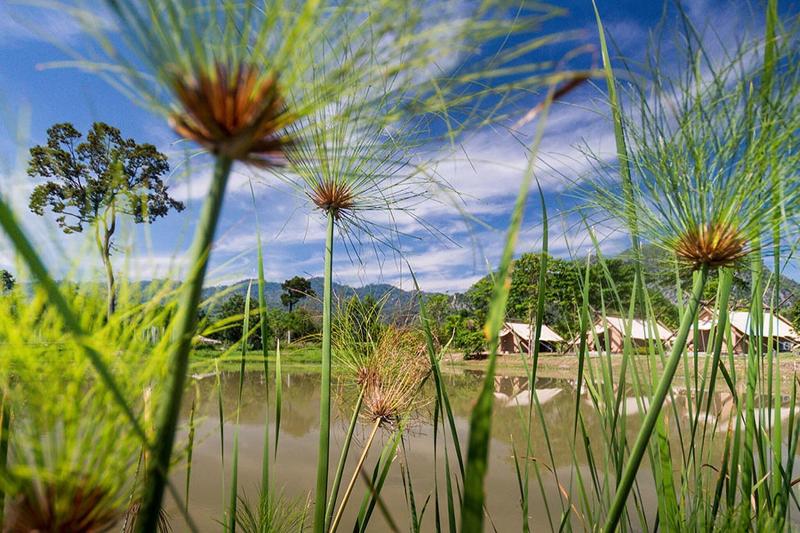 Lala Mukha Tented Resort, Khao Yai - Genel