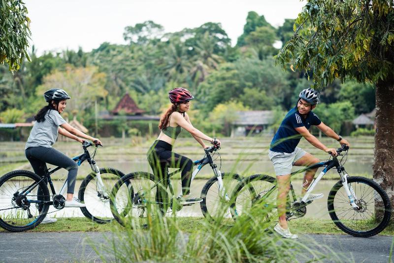 Sthala, A Tribute Portfolio Hotel Ubud Bali - Aktivite