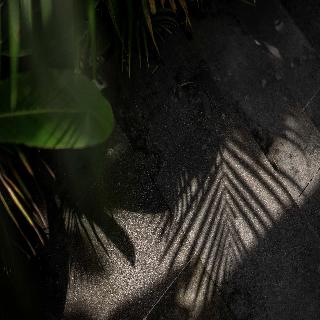 Dedary Resort Ubud by Ini Vie Hospitality fotoÄŸrafÄ±