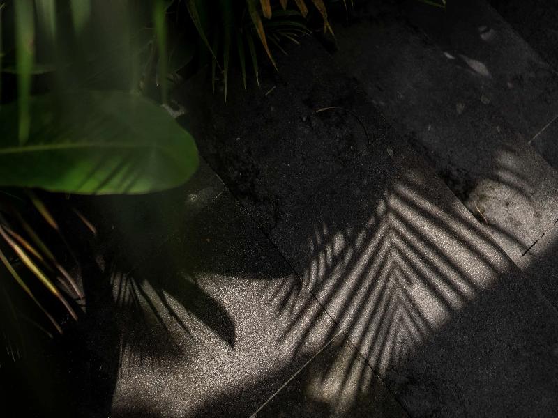 Dedary Resort Ubud by Ini Vie Hospitality - Genel