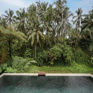 Dedary Resort Ubud by Ini Vie Hospitality fotoÄŸrafÄ±