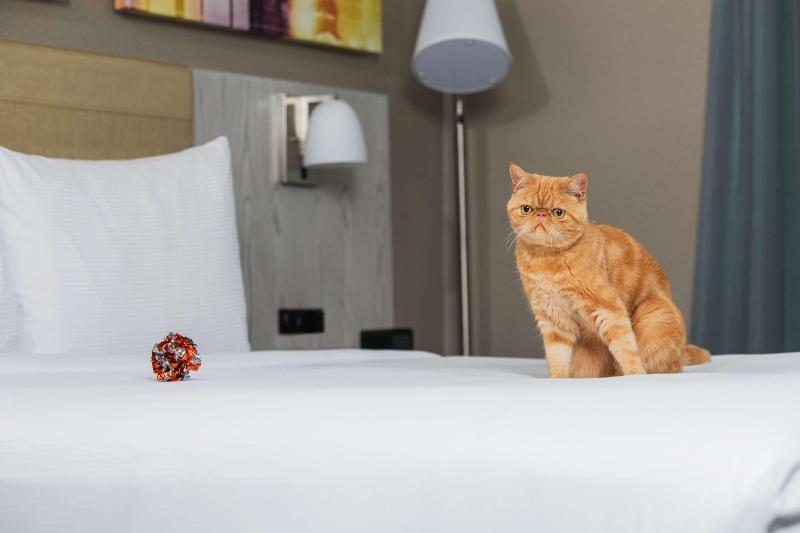 Doubletree by Hilton New York Times Square West - Oda