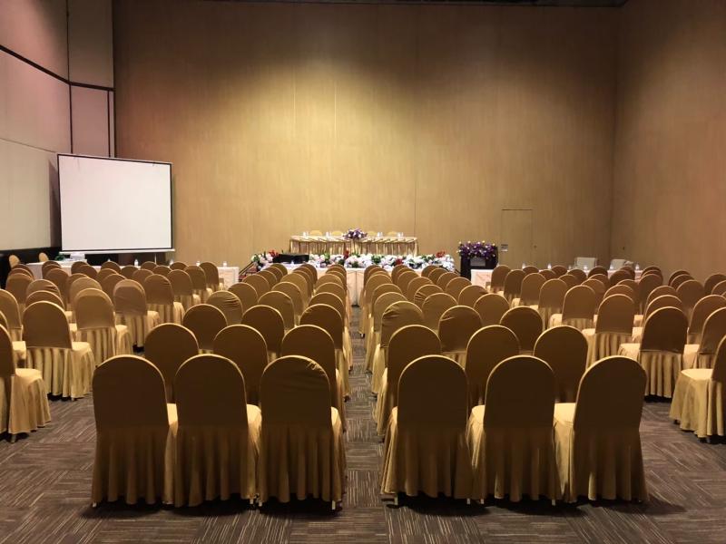 Chiangmai Grandview Hotel & Convention Center - Toplantı