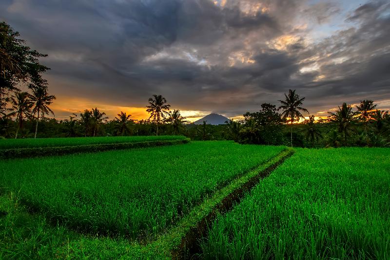 Kawi Resort- A Spiritual Sanctuary to Escape - Aktivite