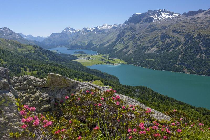 Crystal St Moritz - Genel