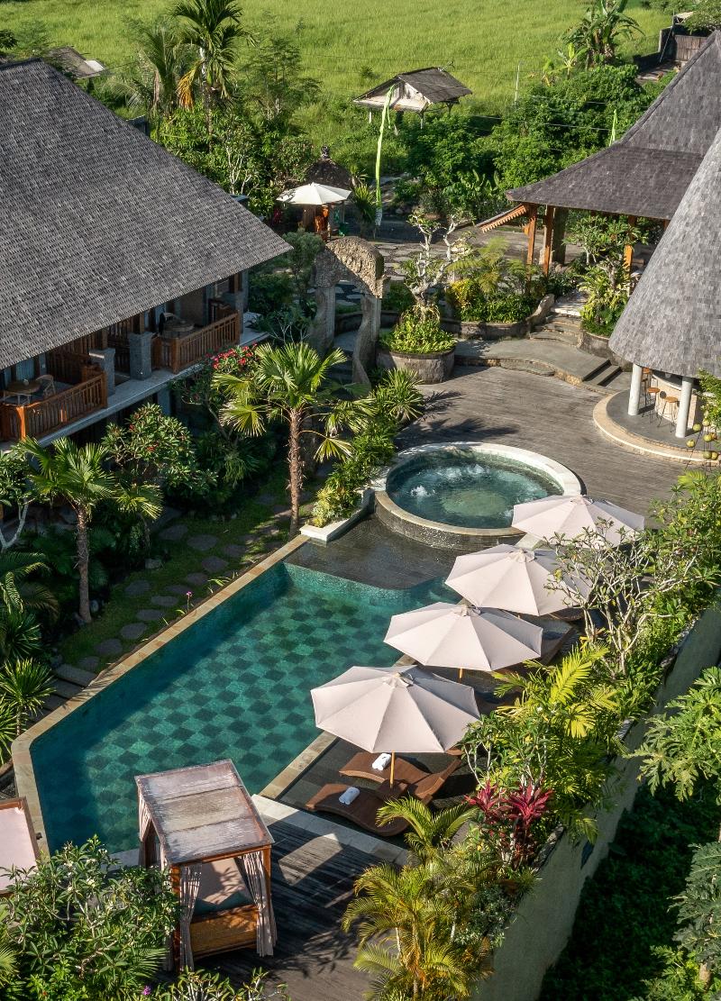 The Alena Ubud Resort A Pramana Experience - Havuz