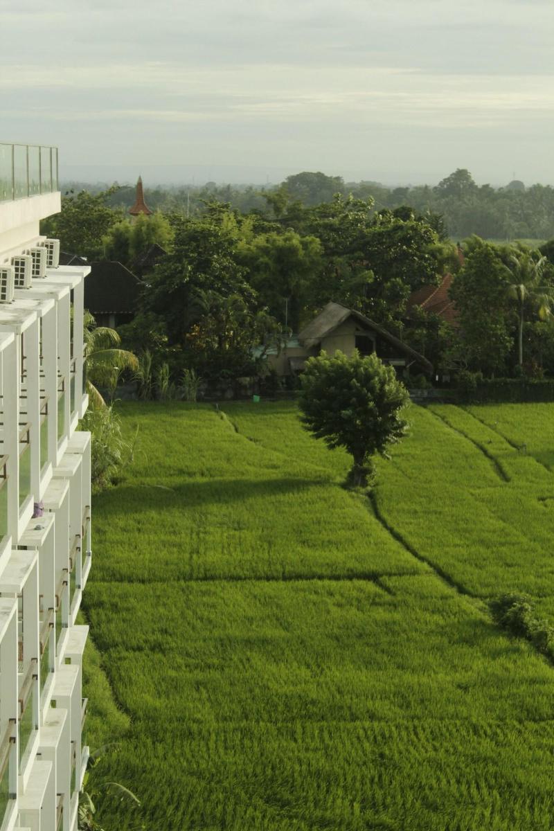 The Evitel Resort Ubud - Genel