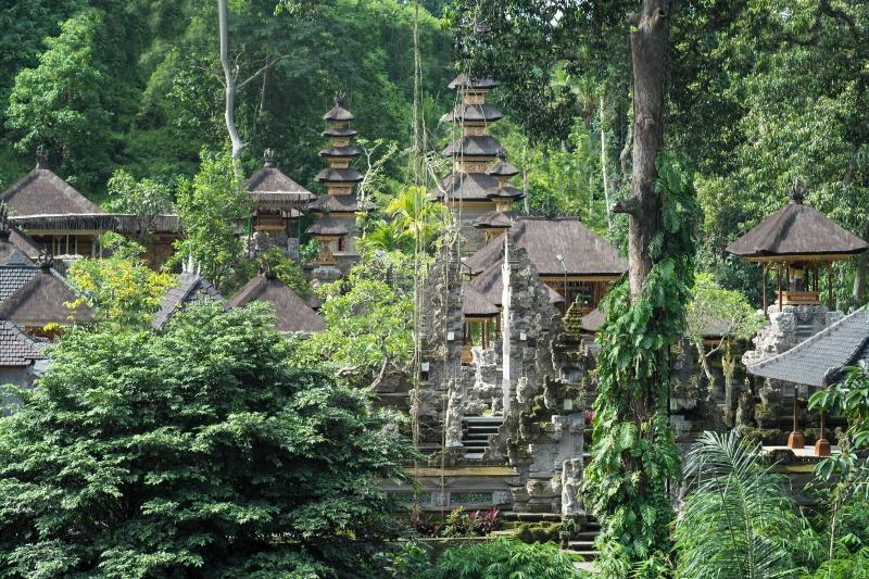 The Evitel Resort Ubud - Genel