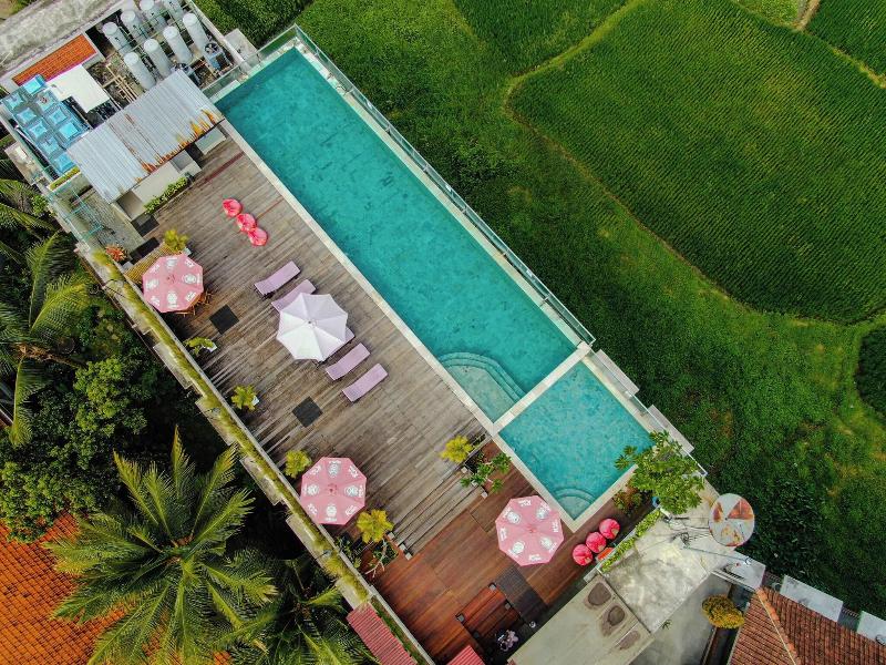 The Evitel Resort Ubud - Havuz