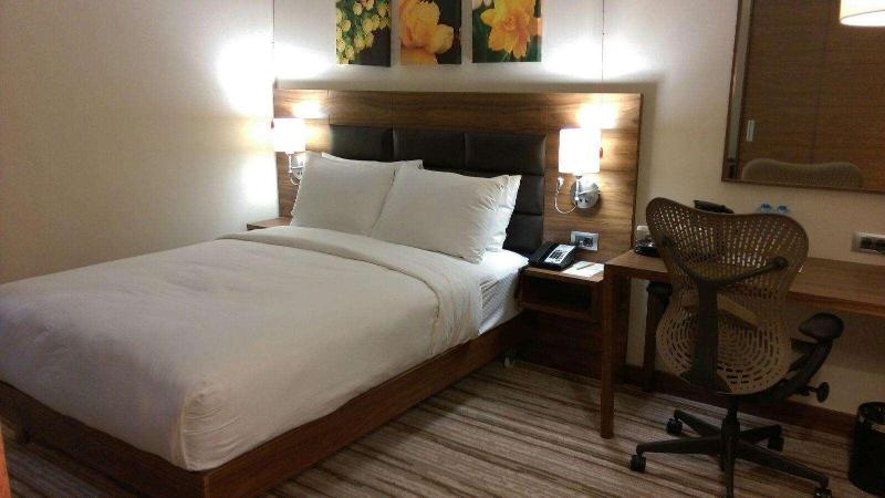 Hilton Garden Inn Erzincan - Oda