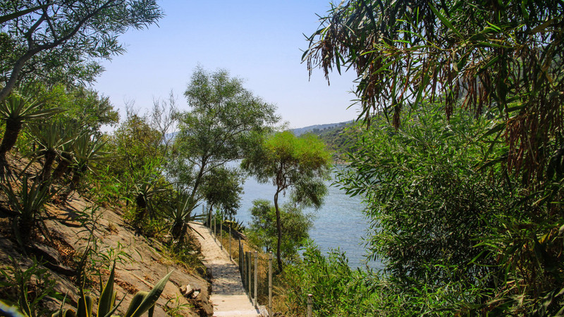 Blue Bay - Genel