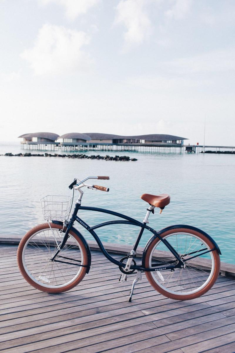 The St. Regis Maldives Vommuli Resort - Aktivite
