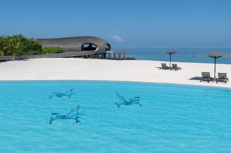 The St. Regis Maldives Vommuli Resort - Havuz
