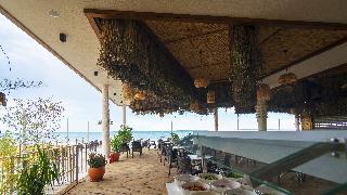 Seashell Vega fotoÄŸrafÄ±