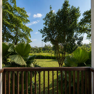 Rumah Luwih Bali By IHG fotoÄŸrafÄ±
