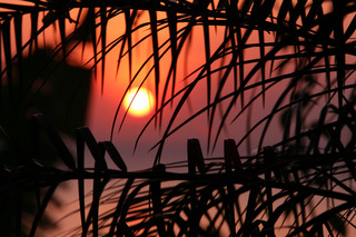 The Griya Villas & Spa fotoÄŸrafÄ±
