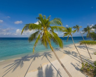Milaidhoo Island Maldives fotoÄŸrafÄ±