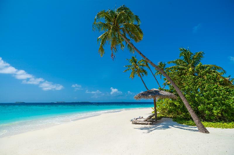 Milaidhoo Island Maldives - Plaj
