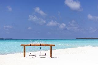 Niva Dhigali Maldives fotoÄŸrafÄ±