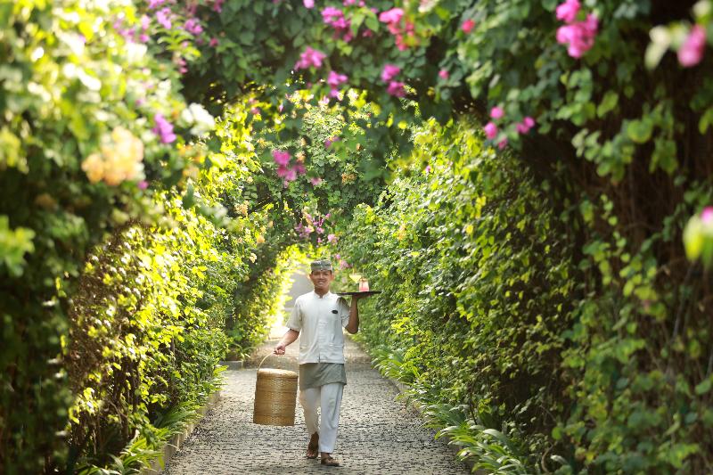 The Royal Purnama - Adults Only - Genel
