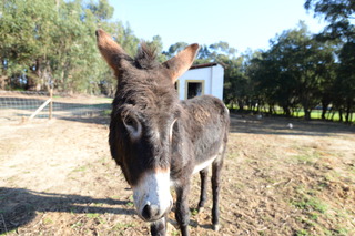 Quinta Da Samoqueirinha fotoÄŸrafÄ±