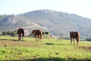 Quinta Da Samoqueirinha fotoÄŸrafÄ±