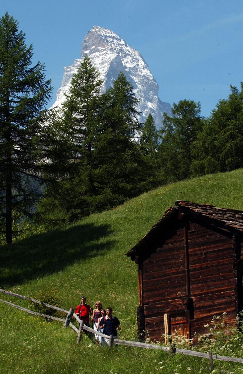 Mont Cervin Palace - Aktivite