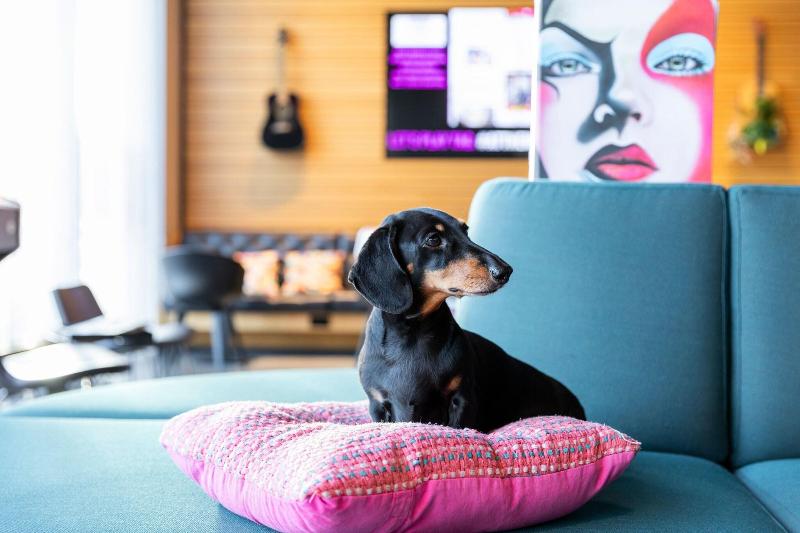 Moxy Aberdeen Airport - Genel