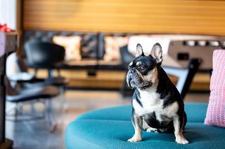 Moxy Aberdeen Airport fotoÄŸrafÄ±
