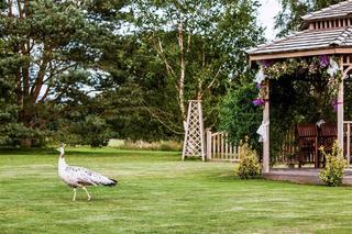 Mercure Maidstone Great Danes fotoÄŸrafÄ±