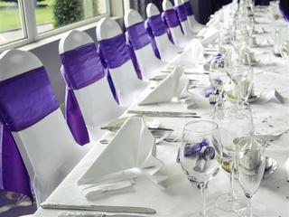Mercure Maidstone Great Danes fotoÄŸrafÄ±