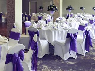 Mercure Maidstone Great Danes fotoÄŸrafÄ±