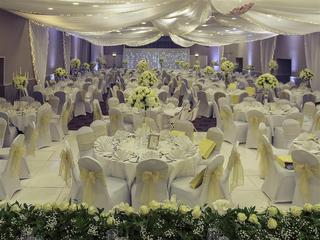 Mercure Maidstone Great Danes fotoÄŸrafÄ±