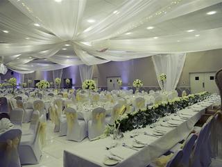 Mercure Maidstone Great Danes fotoÄŸrafÄ±
