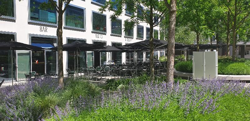 Placid Hotel Design & Lifestyle Zurich - Genel